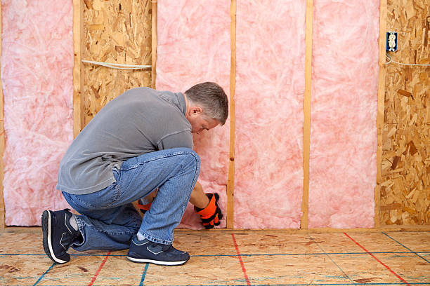 Best Insulation Repair Services  in Ocean Acres, NJ