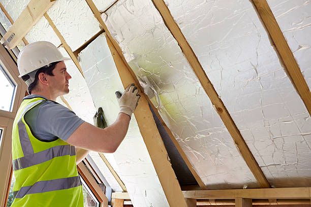 Best Insulation Replacement Services  in Ocean Acres, NJ